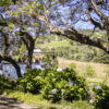 Stellenbosch Wine Estate