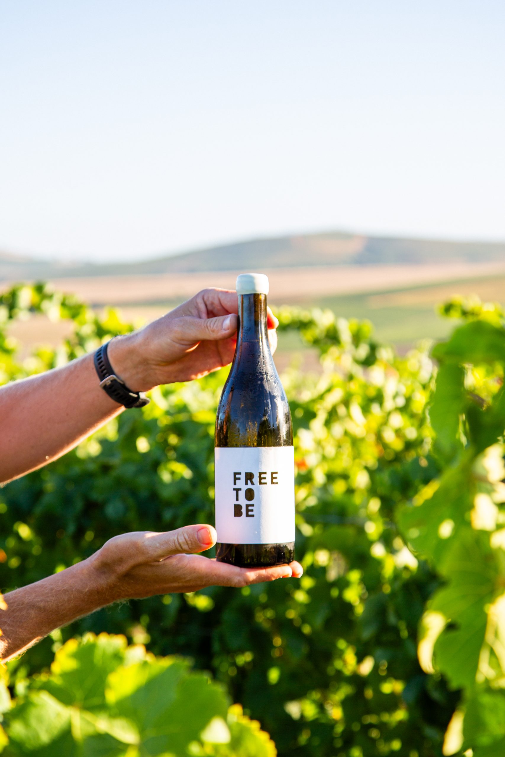 Free to Be Weisser Riesling 2025 - Image 2