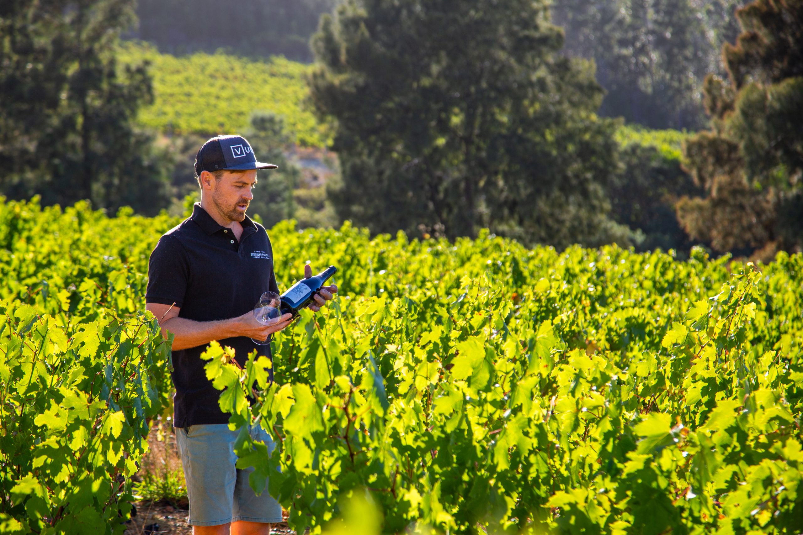Vantage Pinotage 2023 - Image 2