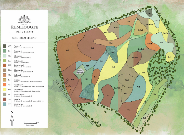 Remhoogte Soil Map